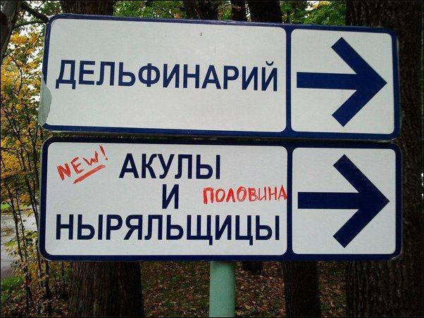 Всякая всячина