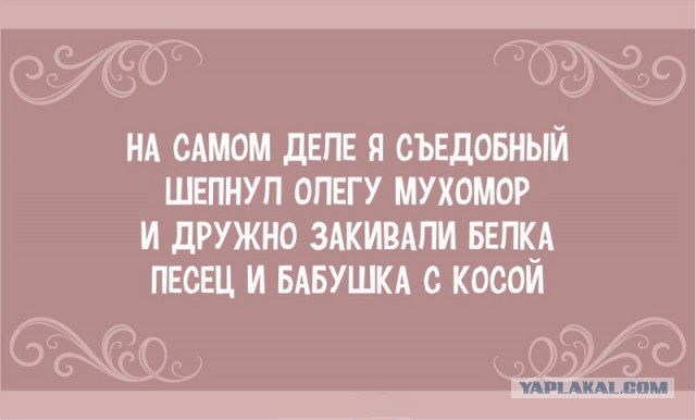 Ну как же всё в точку