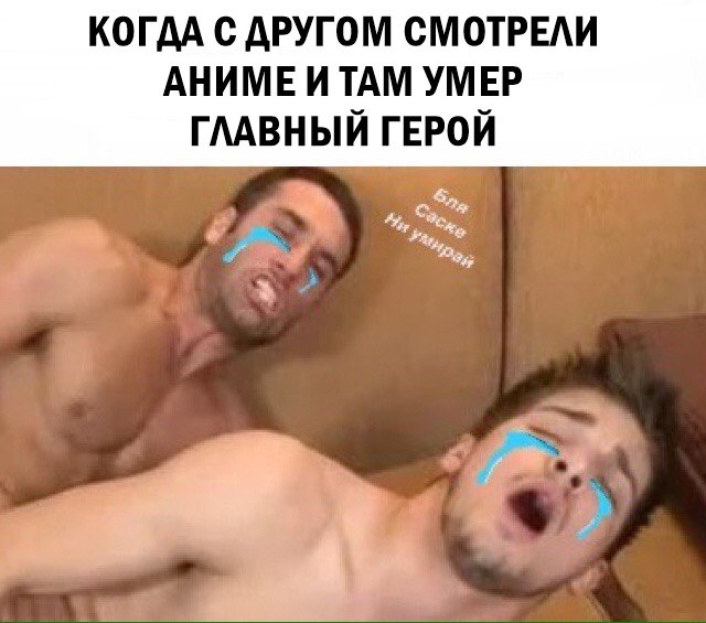Человек разумный. Но это не точно