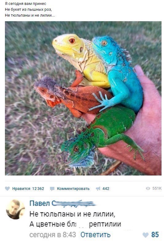 Всякая всячина из инэта