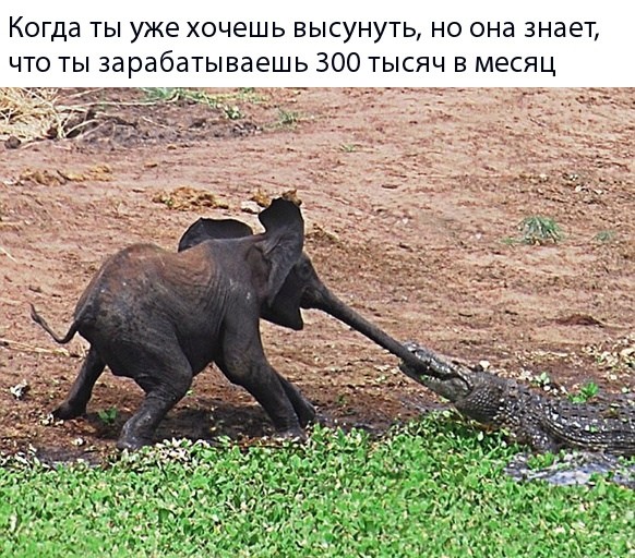 Специфический юмор
