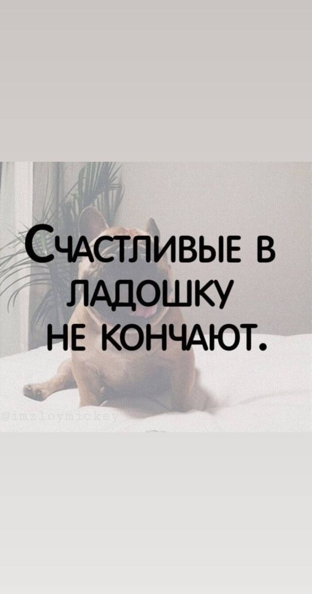 Пару слов от нищебродов