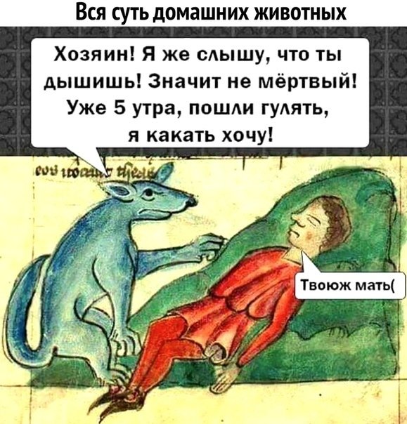 Нестандартный юмор