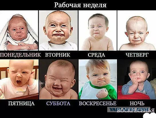 Подборка интересных и веселых картинок 25.11.18