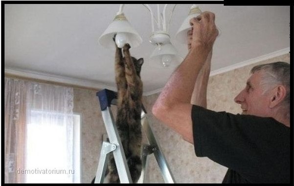 Пёстрая кошка Кудабля, порождение Тьмы