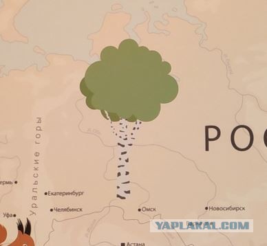 Обои в комнату дочери