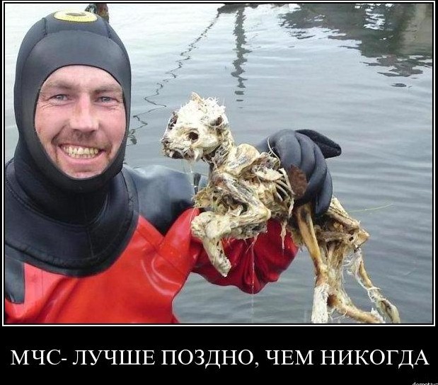 Экологи не верят данным о тушении пожаров в Сибири: «Совершенно фантастический результат!»