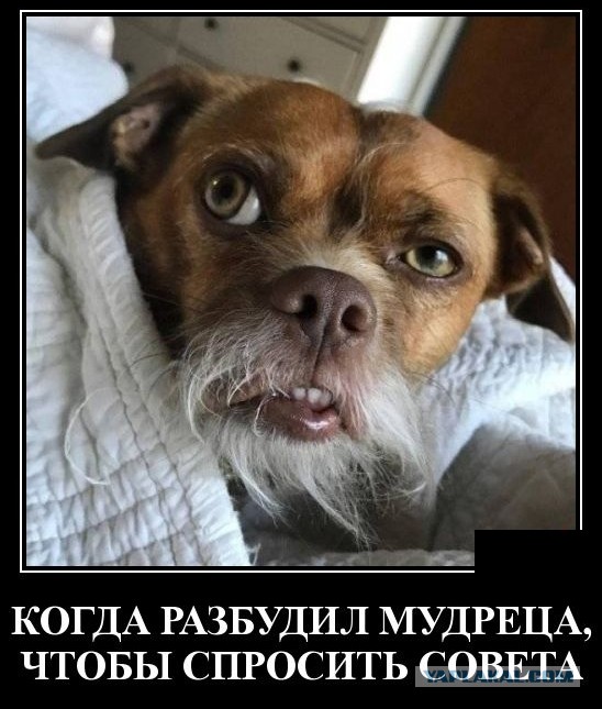 Как вы относитесь к новому мужчине?