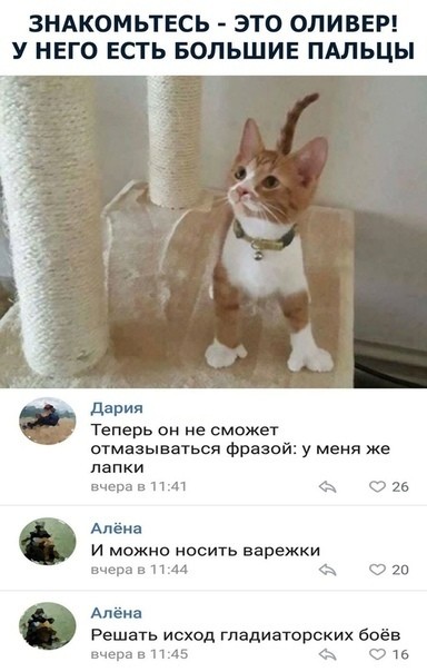 Позорище