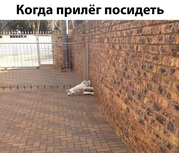 Немного картинок для настроения 05.11.19