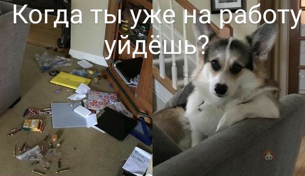 Немного картинок для настроения 03.04.20