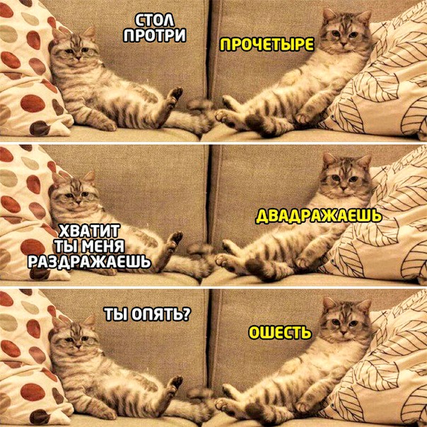 Немного картинок для настроения 15.05.20