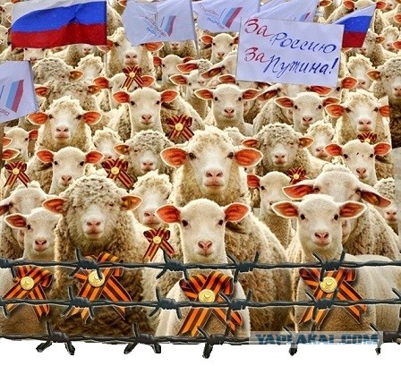 Отмена нештрафуемого порога 20 км/ч. Власти начнут с городов