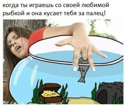 Немного картинок
