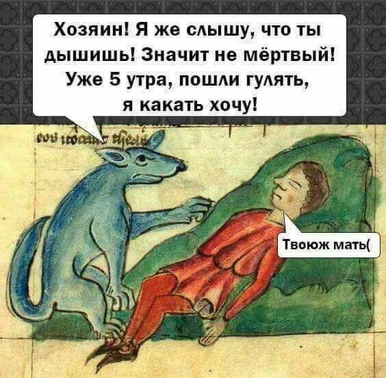Собаки бывают