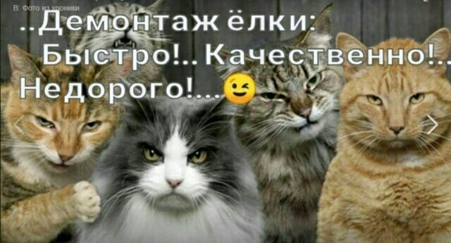 Картинки, соцсети, и всякие жизненные фразы