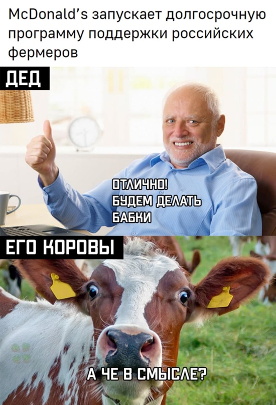 Весёлый полтишок 17.03