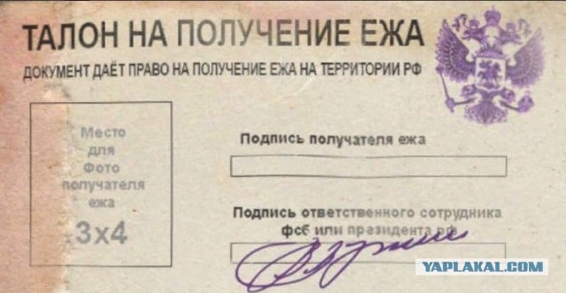 В Киеве волонтеры Команды спасения животных 5 часов вытаскивали африканского ежика, который застрял в чугунной батарее