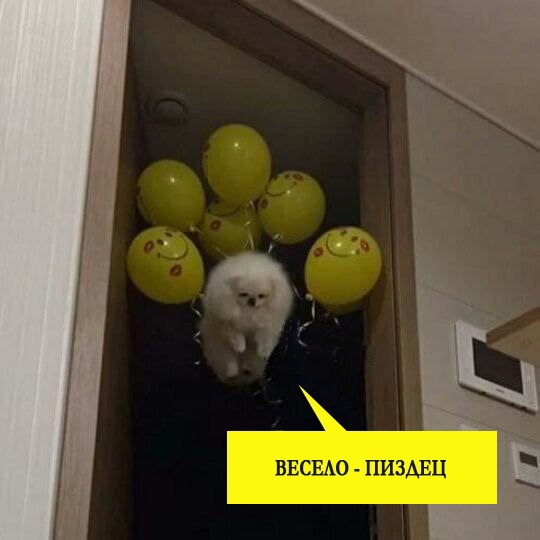 Баянисто-небаянистый юмор 24.04.21