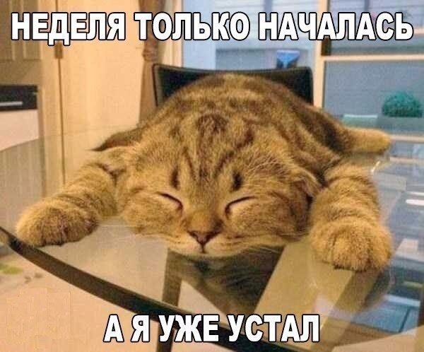 Картинки и мемы для настроения 09.06.2021