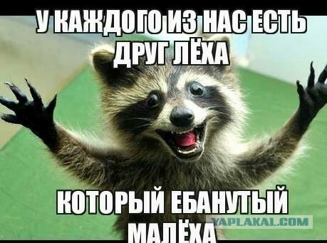 Снова про Лёху