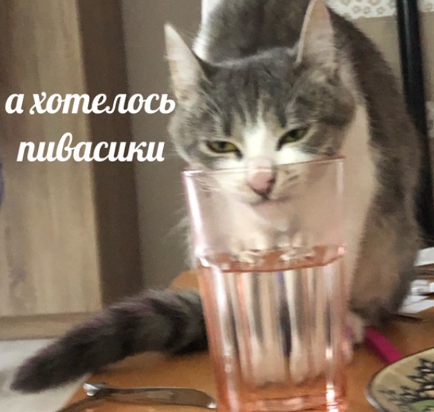 А я пью пиво