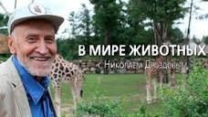 Ничего необычного,  типичные разборки.
