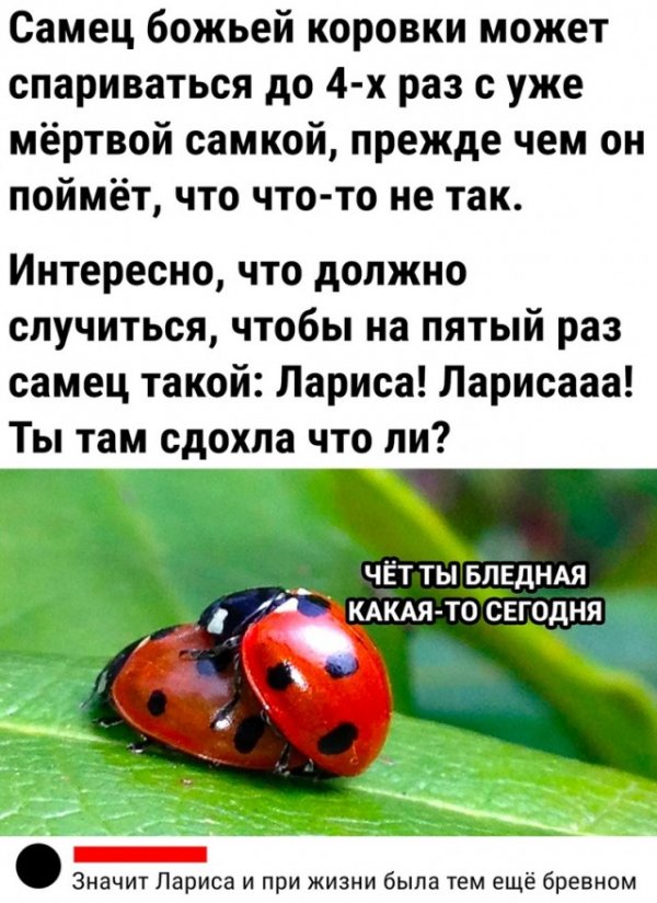 Прикольные и просто красивые картинки 25.10.2022