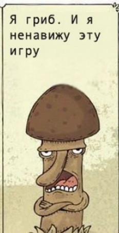 Именинник дня!