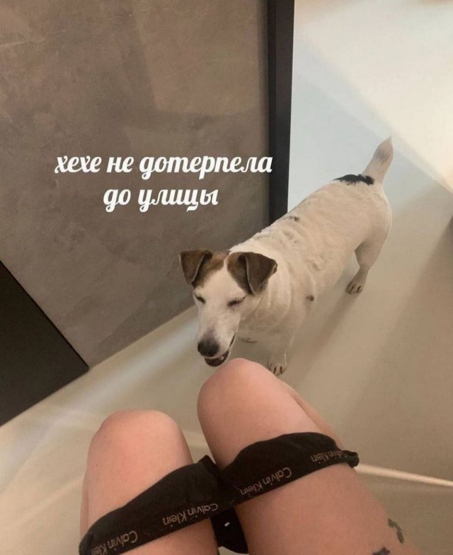Картинки и мемы, всем хороших выходных