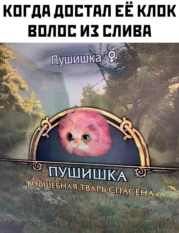 Картинки и мемы, всем хороших выходных