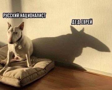 Народная меДИЧина таки