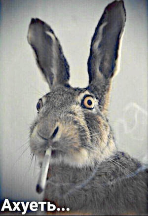 Подлинная история Баскервильского Чудовища