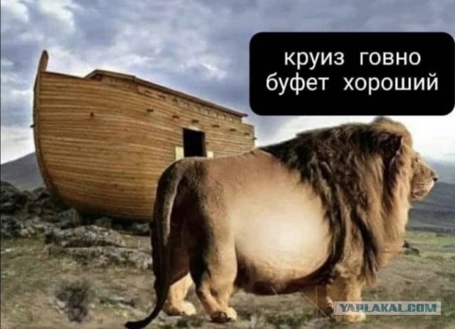Набор на Ноев ковчег