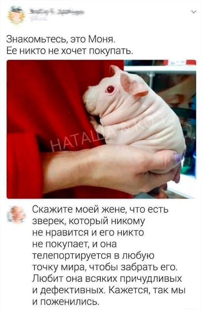 Завалялось тут случайно немного забавных картинок