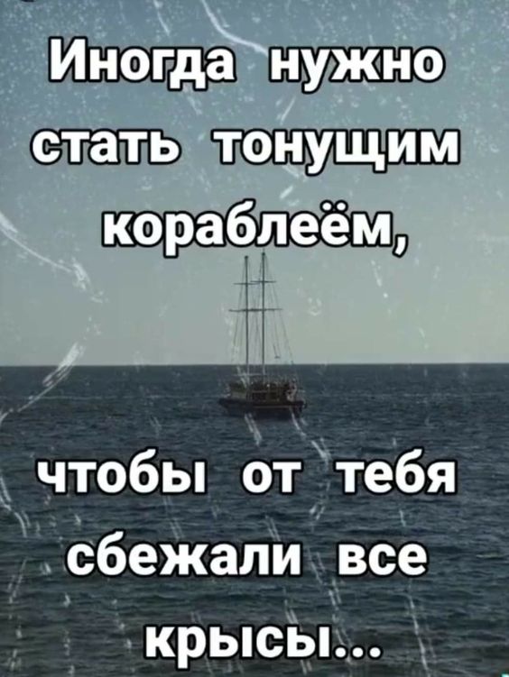 Прикольные и просто красивые картинки