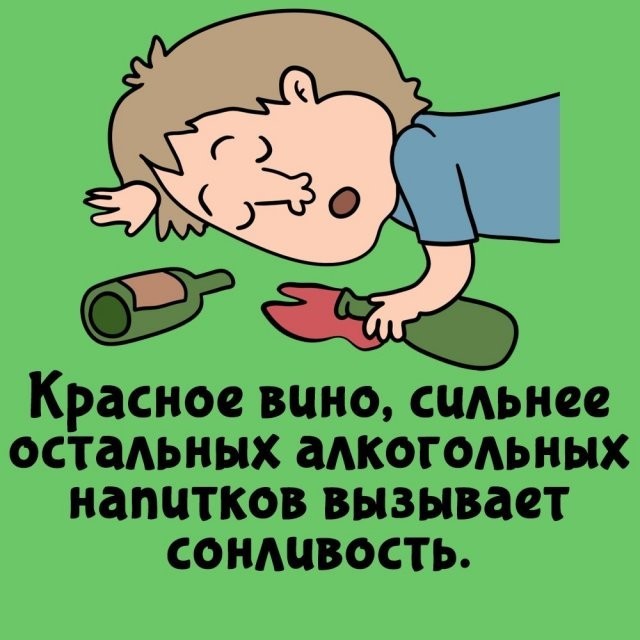 Подборка интересных фактов на все случаи жизни  07.10.24