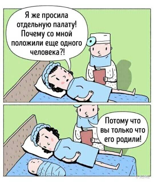 Прикольные и просто красивые картинки 01.11.2024