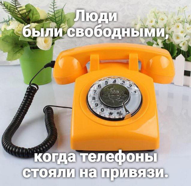 Так себе картинки 06.12.24