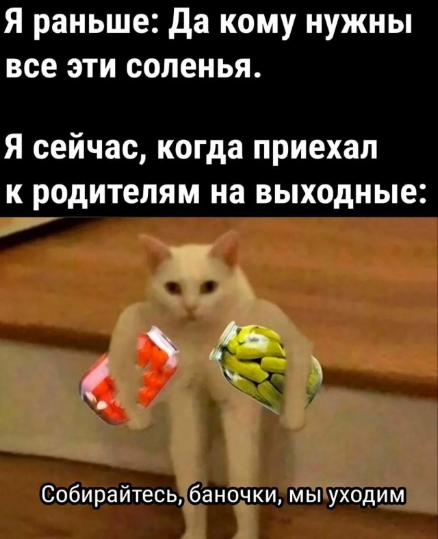 К котовторнику: подборка картинок-баянов с котиками и про котиков. Выпуск 20.