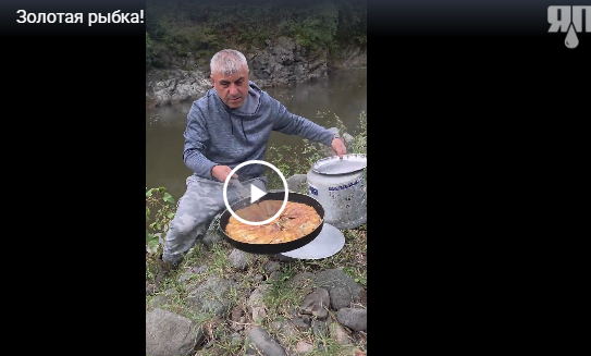 Мастер-класс по жарке рыбы