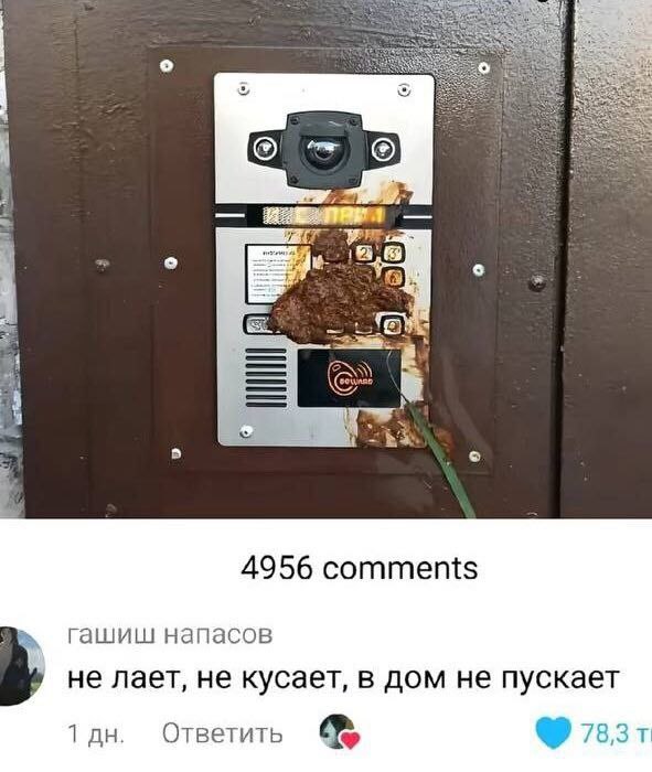 Картинки для деградации 124 (разной степени свежести)