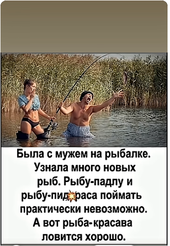 Анекдоты с бородой и депиляцией