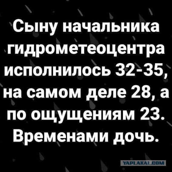 Синоптики есть?