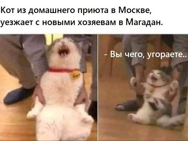Зина байкер)