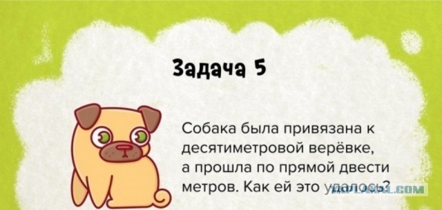 Так себе картинки 29.09.26