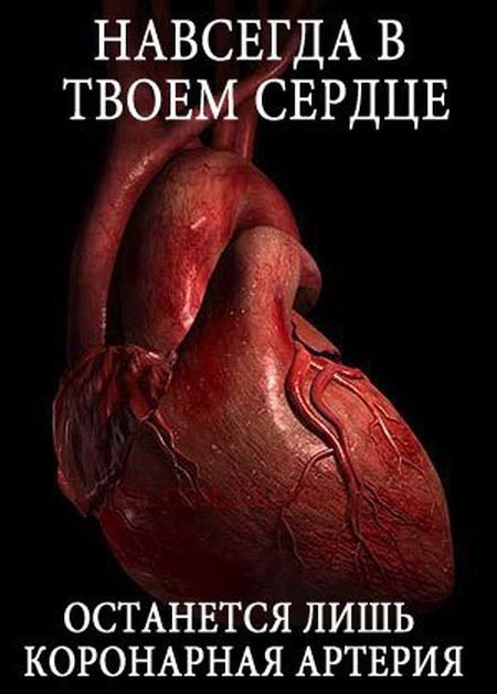 Веселые картинки в маленькую пятницу (21.10)