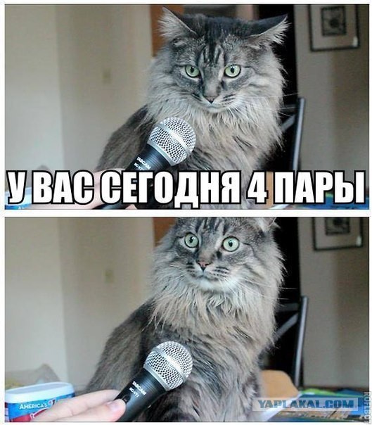 Вот это поворот!