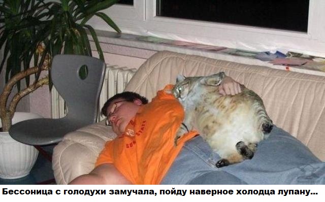 Спят усталые зверушки.