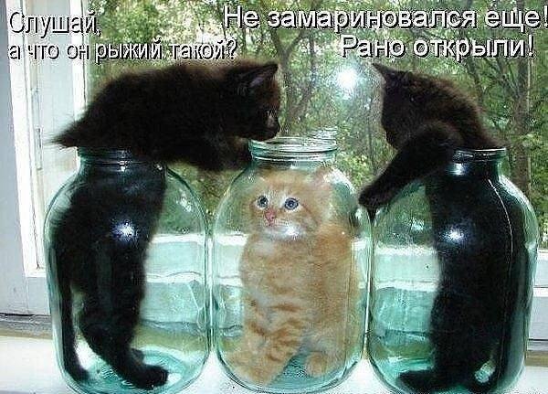 Демотиваторы.